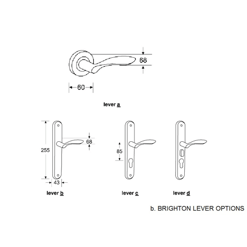 Brighton Solid Forged Brass Lever Handle – Architec